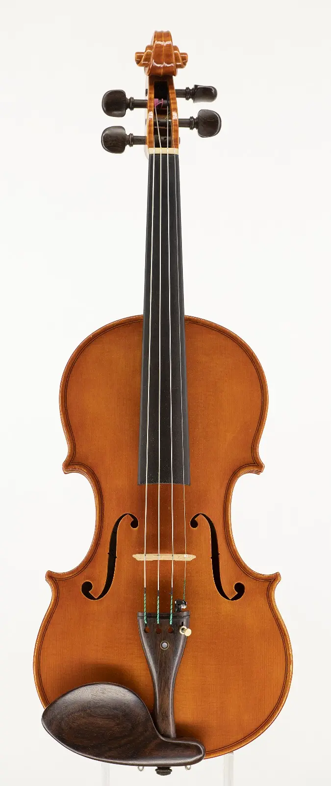 Violino 2001