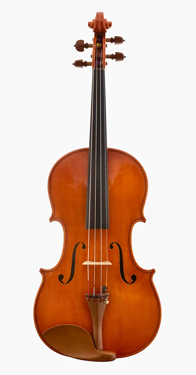 Viola 2001