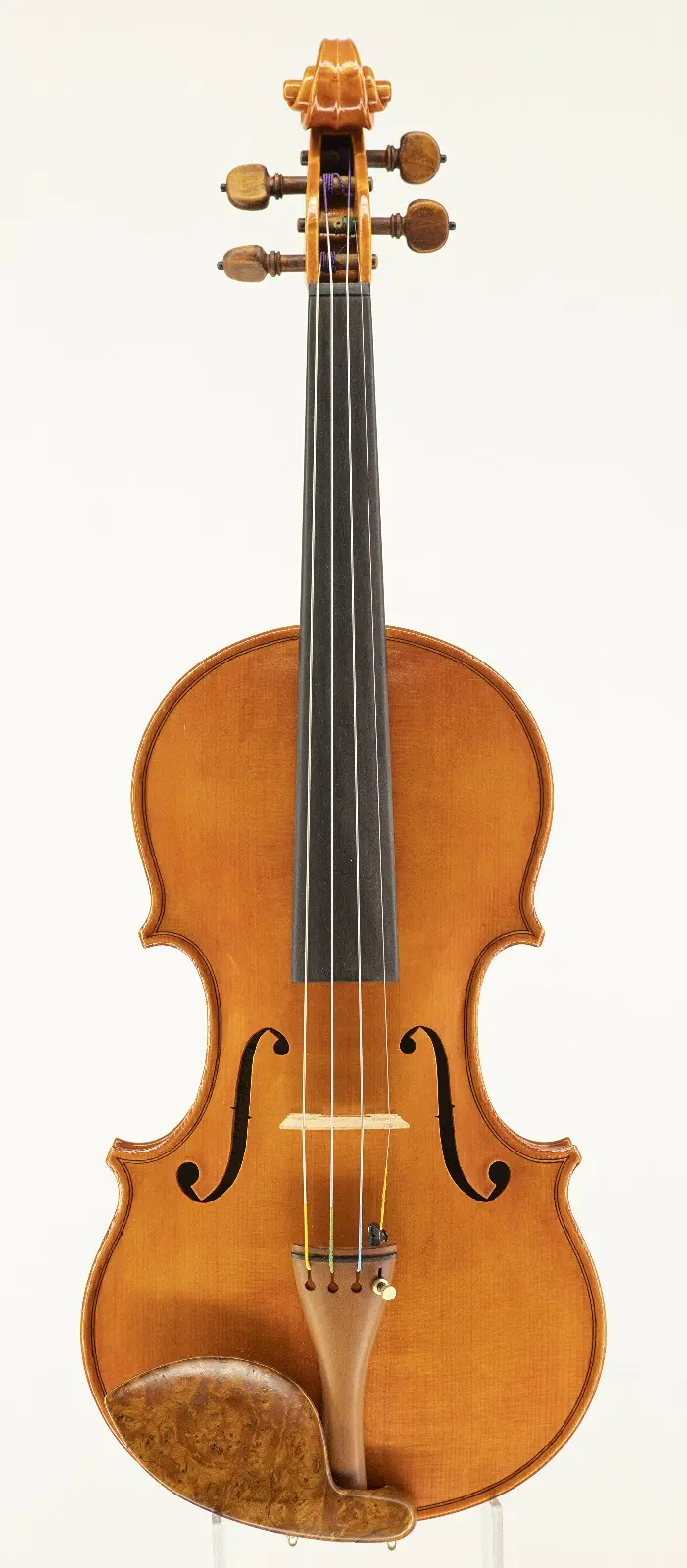 Violino 2007
